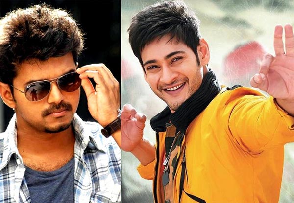 mahesh babu,sreemanthudu,katthi,jilla,vijay  మహేష్‌ కంటే విజయ్‌ బెటర్!